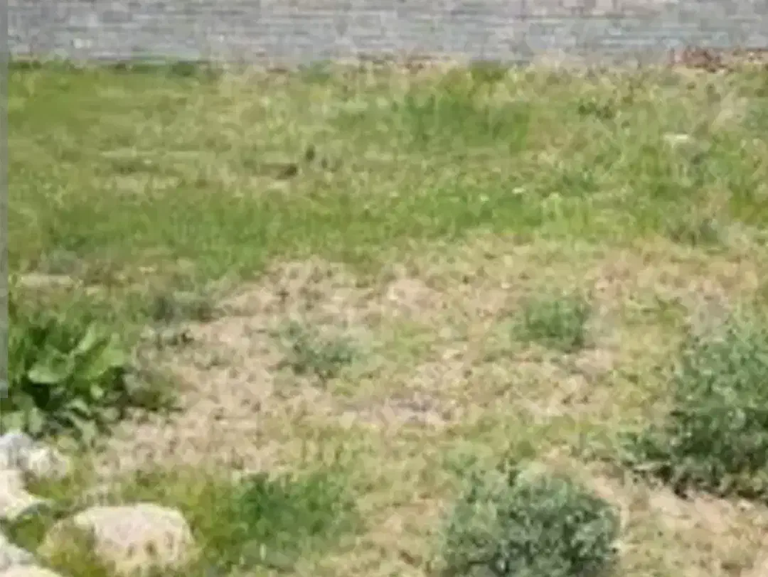 زمین تجاری نبش میدان جهت اجاره