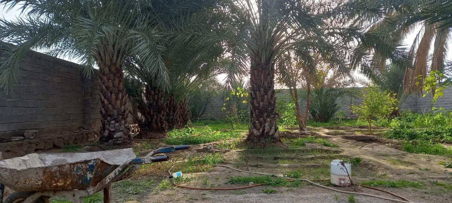 ویلا باغ