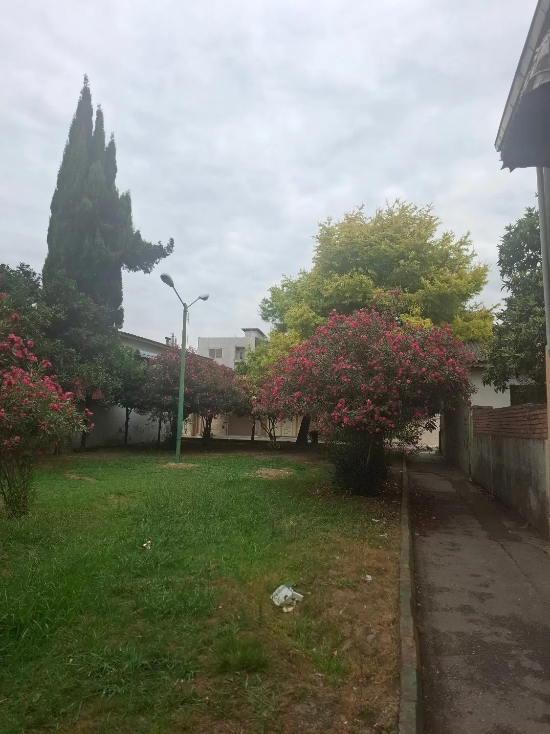 یک قطعه زمین خانه سری