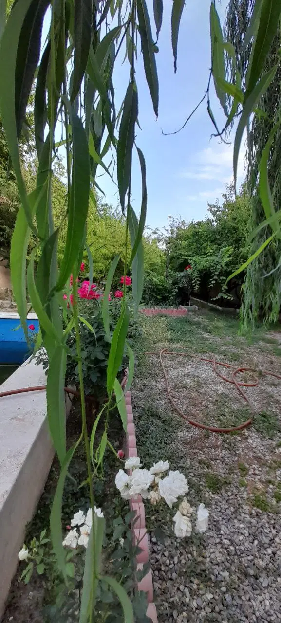 فروش زمین 550 متری