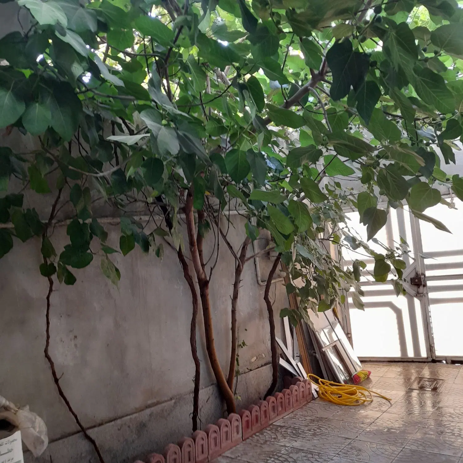 رهن خانه در اول اندیشه