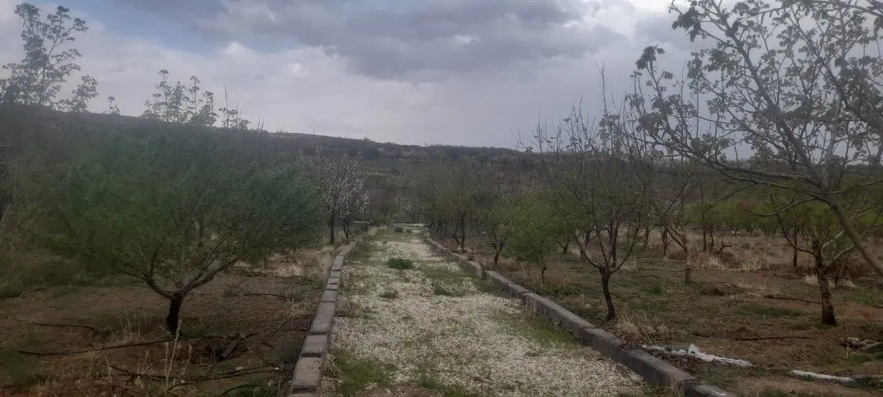 فروش باغ