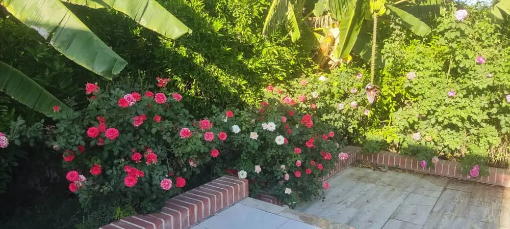 ۱۳۰ متر زمین مسکونی_ذوالفقار