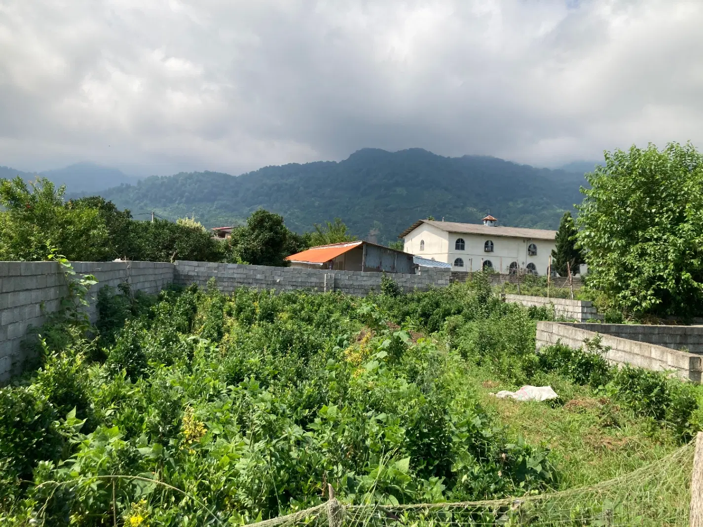زمین با کاربری مسکونی
