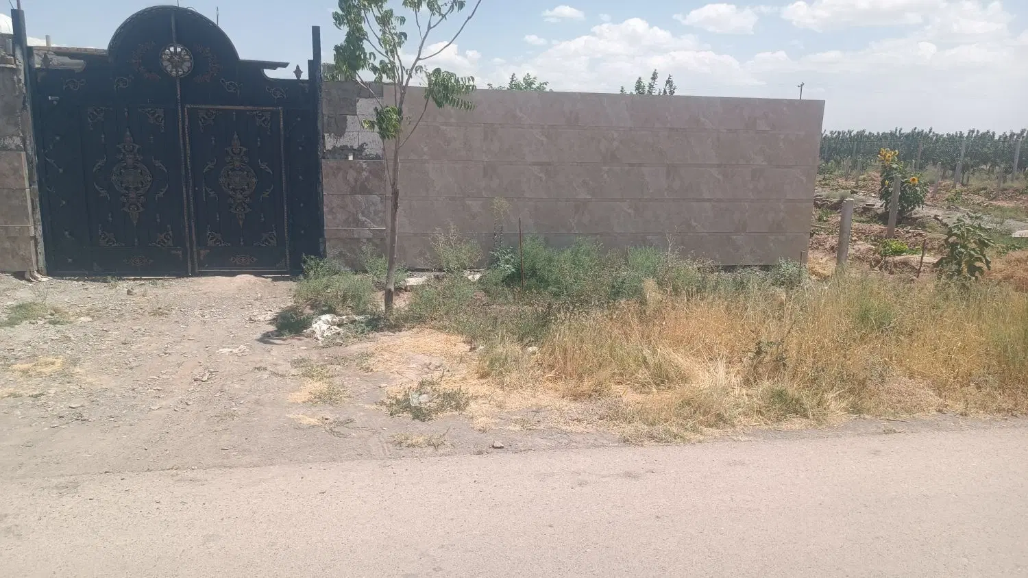 باغ محموداباد فضل