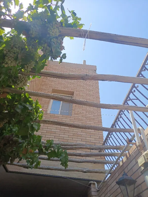 ملک مسکونی