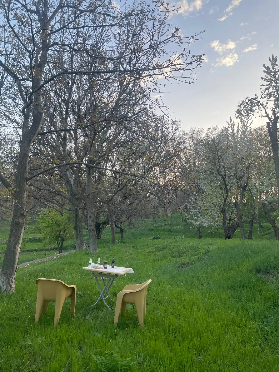 باغ روستایه توریستی زوارم