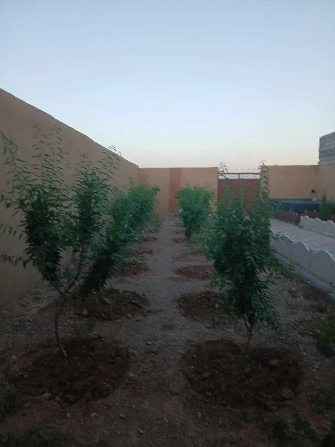 فروش باغ نقلی۳۰۰متری