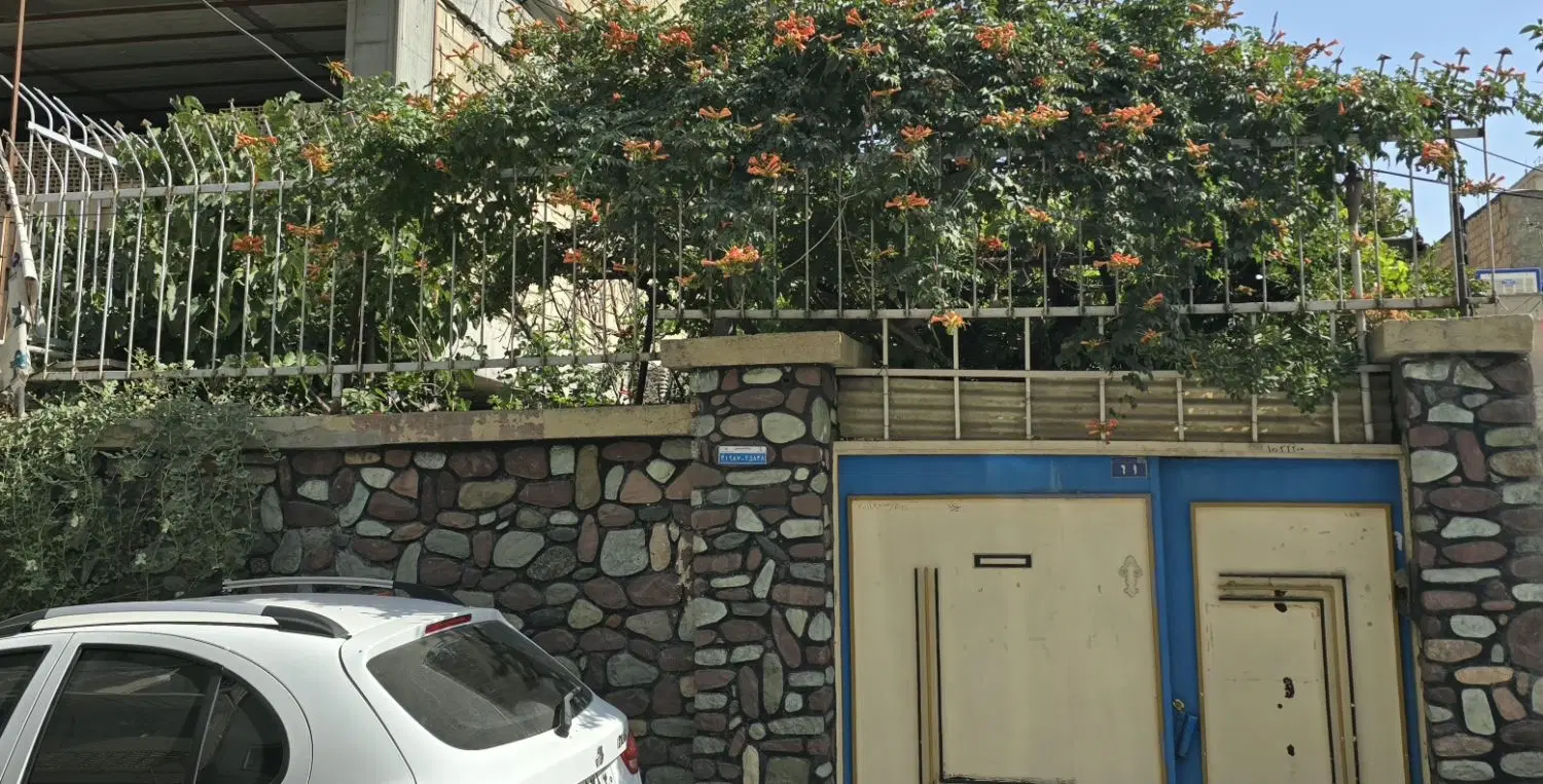 ویلایی کلنگی المهدی