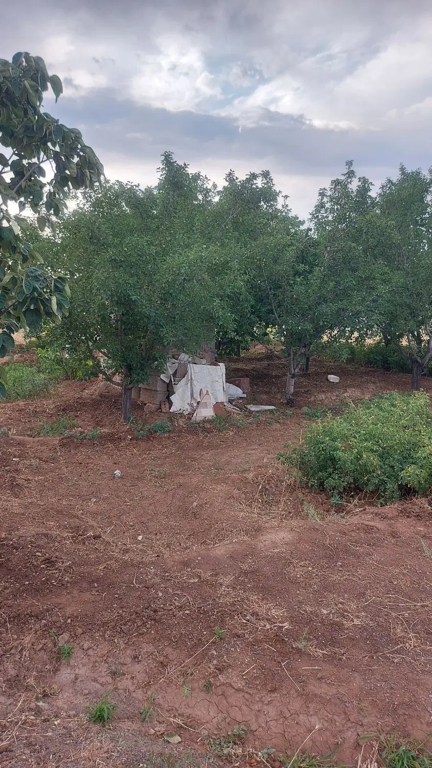 فروش باغچه