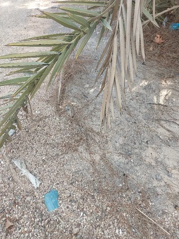 فروش زمین مسکونی
