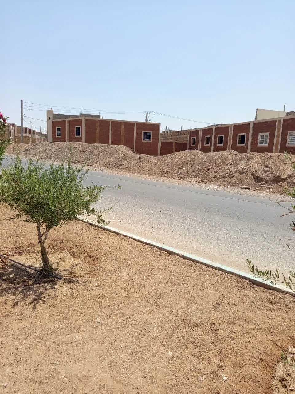 زمین ملاصدرا