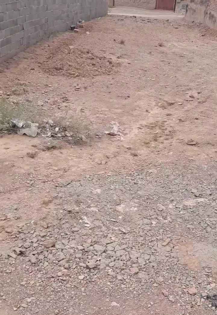 ۸۰مترزمین