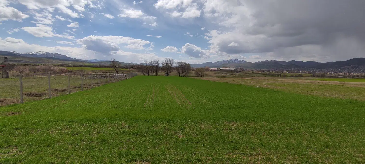 زمین ۳۴۸۰ متری پشت تالار شادی