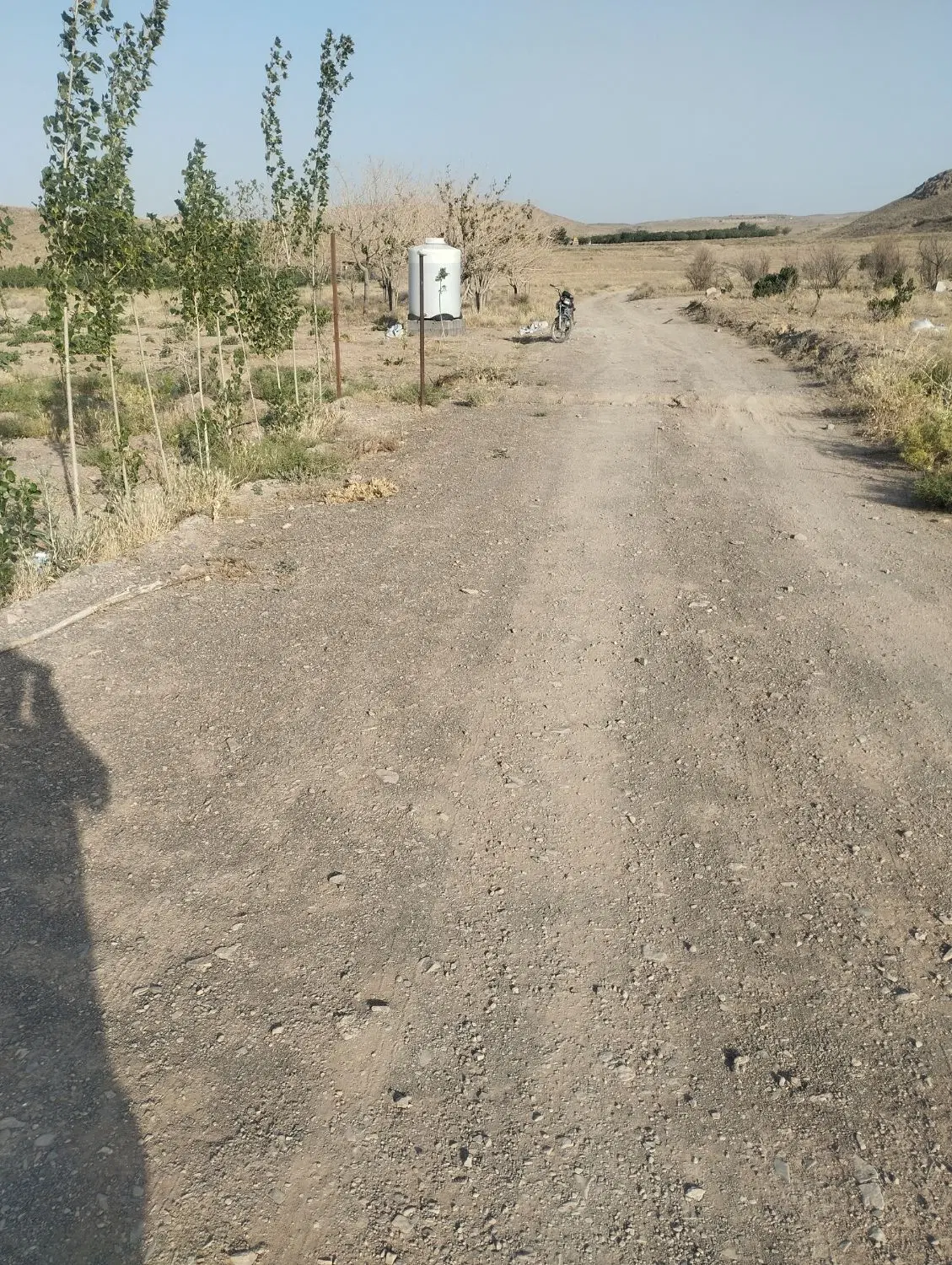 زمین کشاورزی