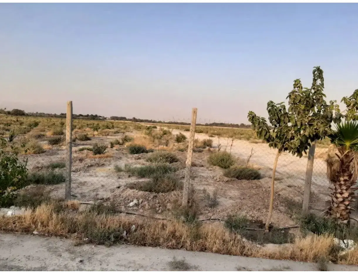 باغچه ۵۰۰متری