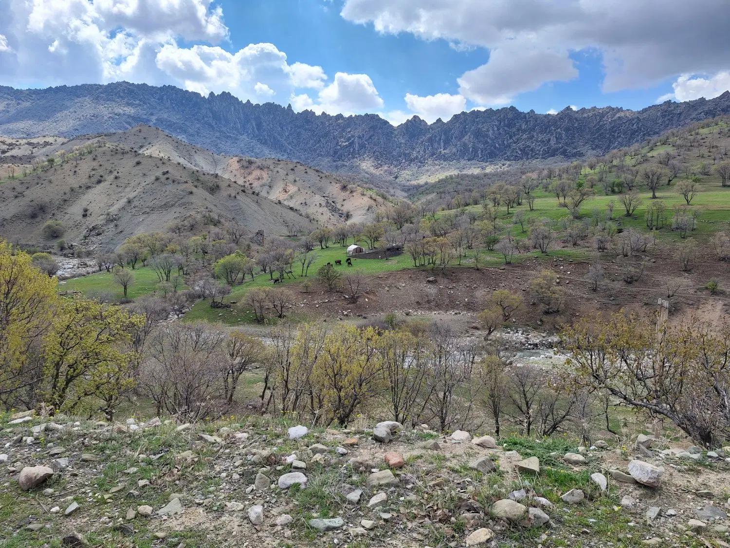 باغ و زمین کشاورزی نمازگاه باغ درختی دور نفس