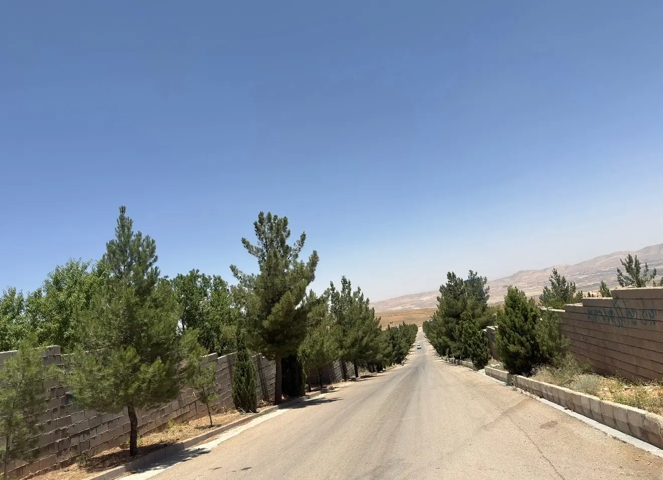 زمین هزار متری در نزدیکی شیراز