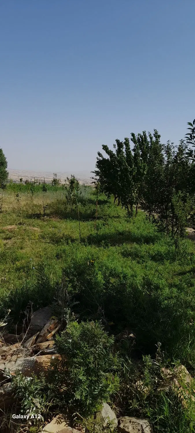 فروش باغ و زمین کشاورزی