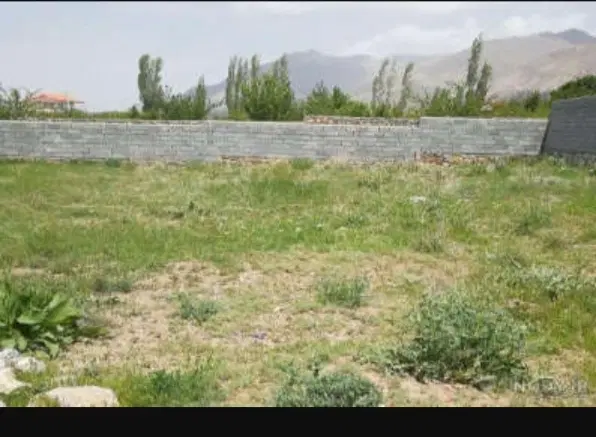 زمین گلنگی و فرزند آوری توضیحات بخون