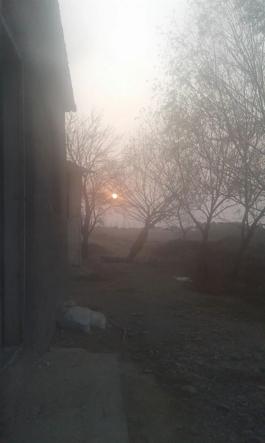 زمین ۱۰۰ متری ایثارگران