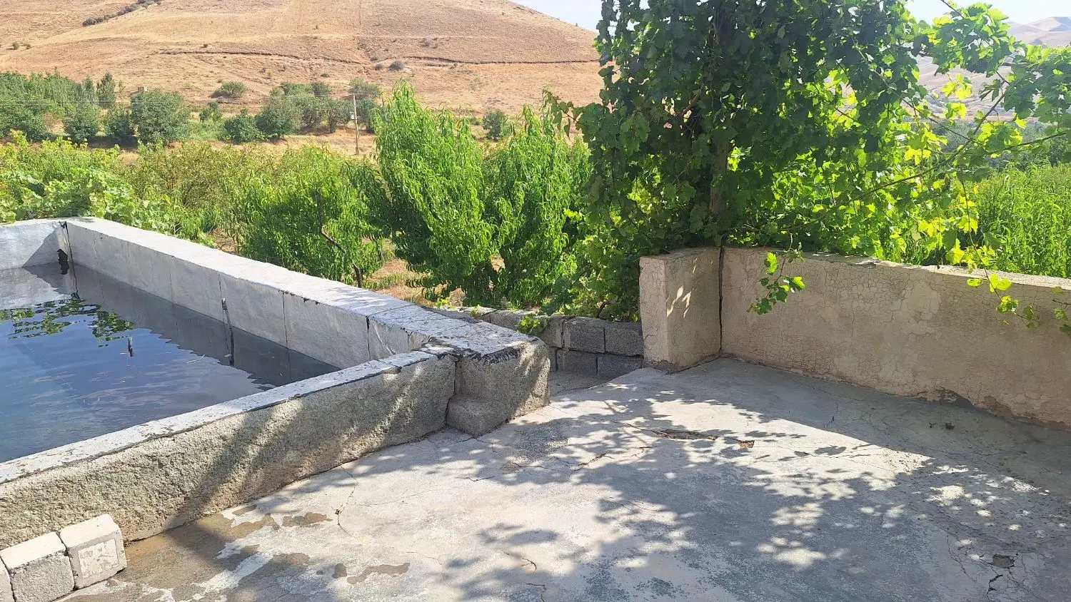 باغ فروشی
