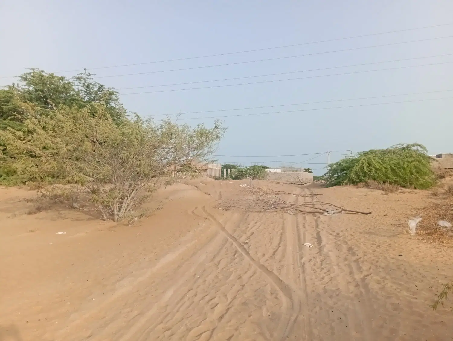 فروش زمین  در ناصرآباد