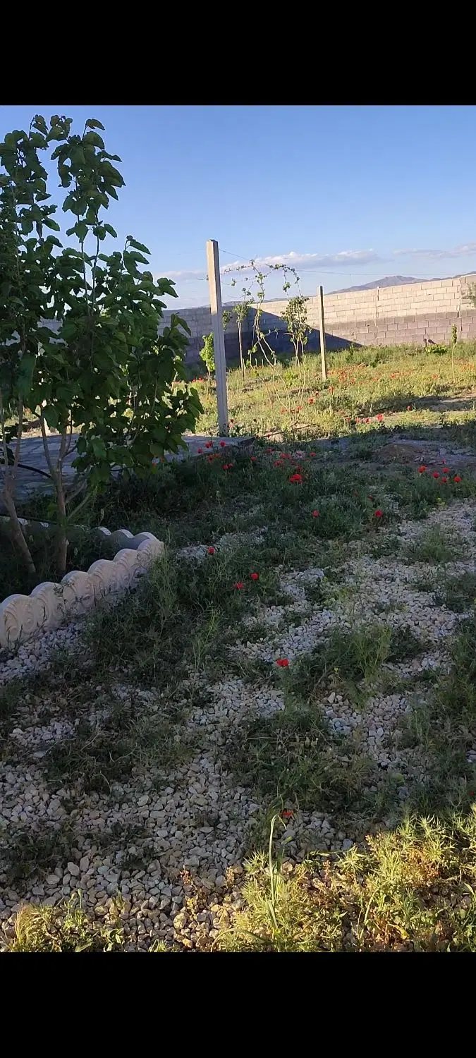 باغ شورین