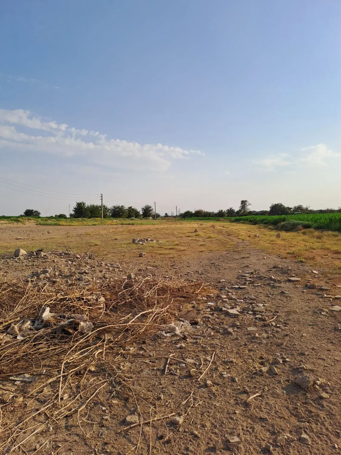 زمین کشاورزی و باغچه