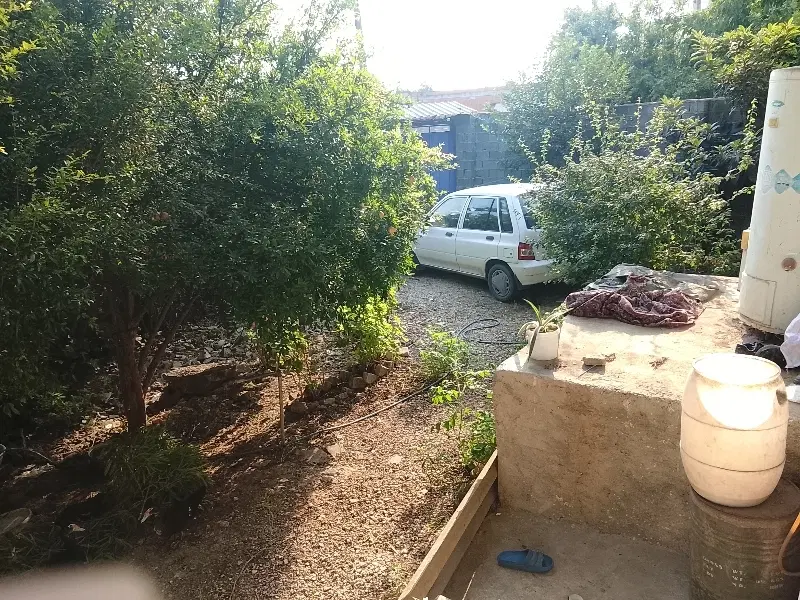 همخونه یا هم اتاقی
