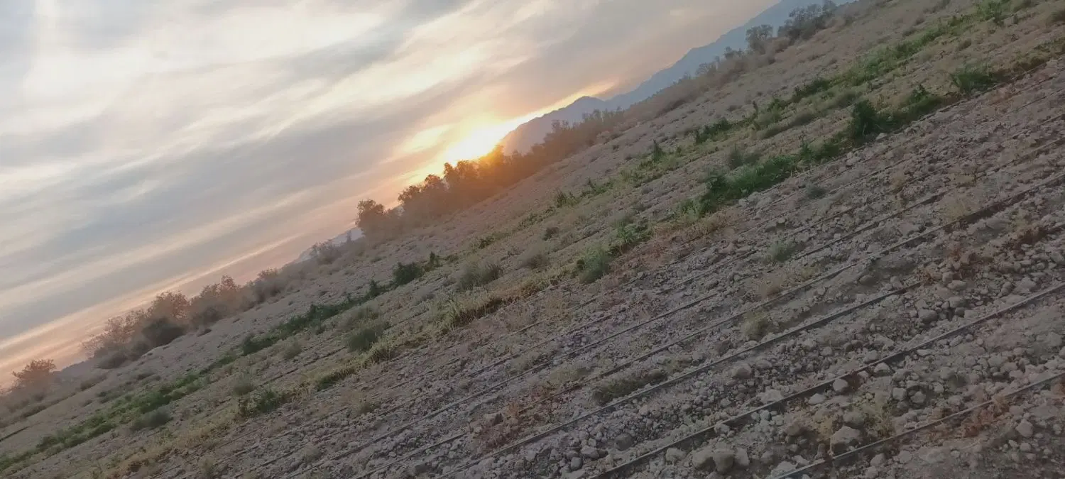 اجاره زمین کشاورزی ۱ هکتار