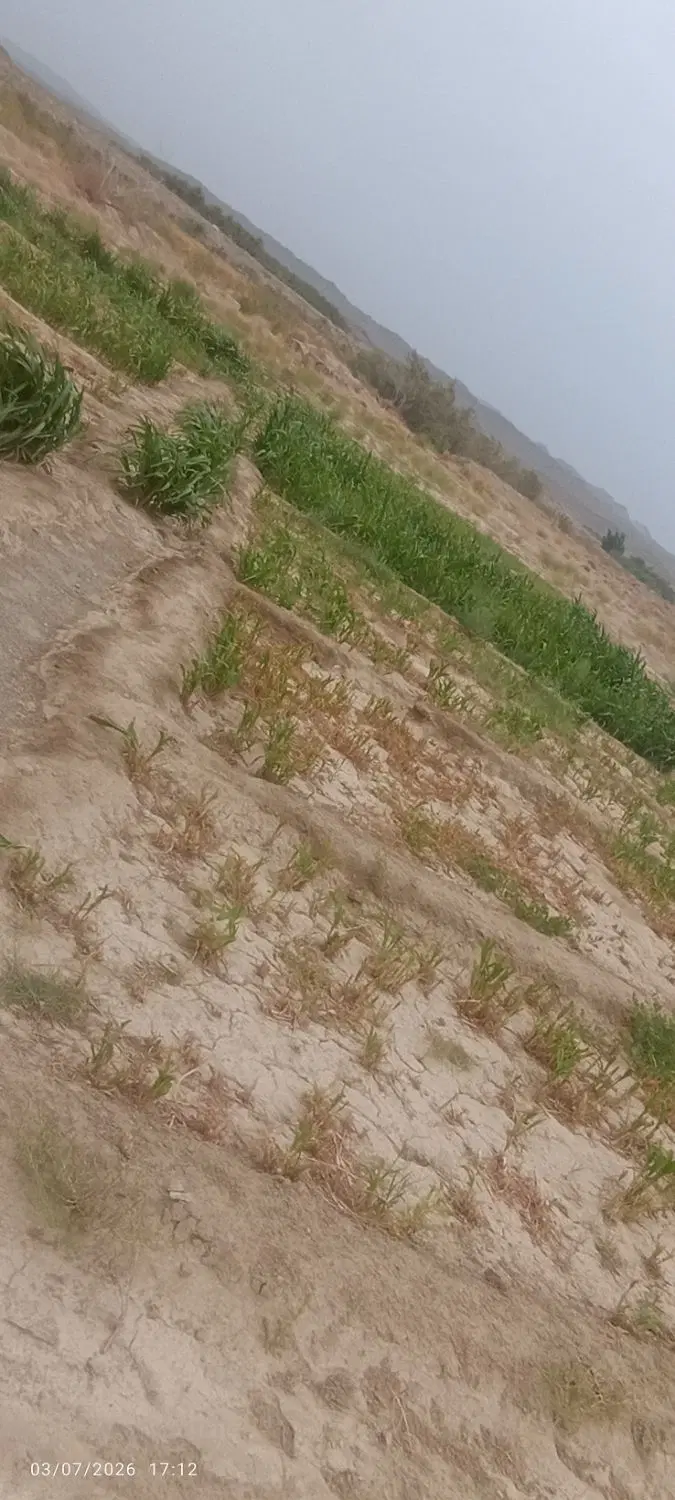 دزک زمین تجاری کنار مدرسه دینی مفتی مراد