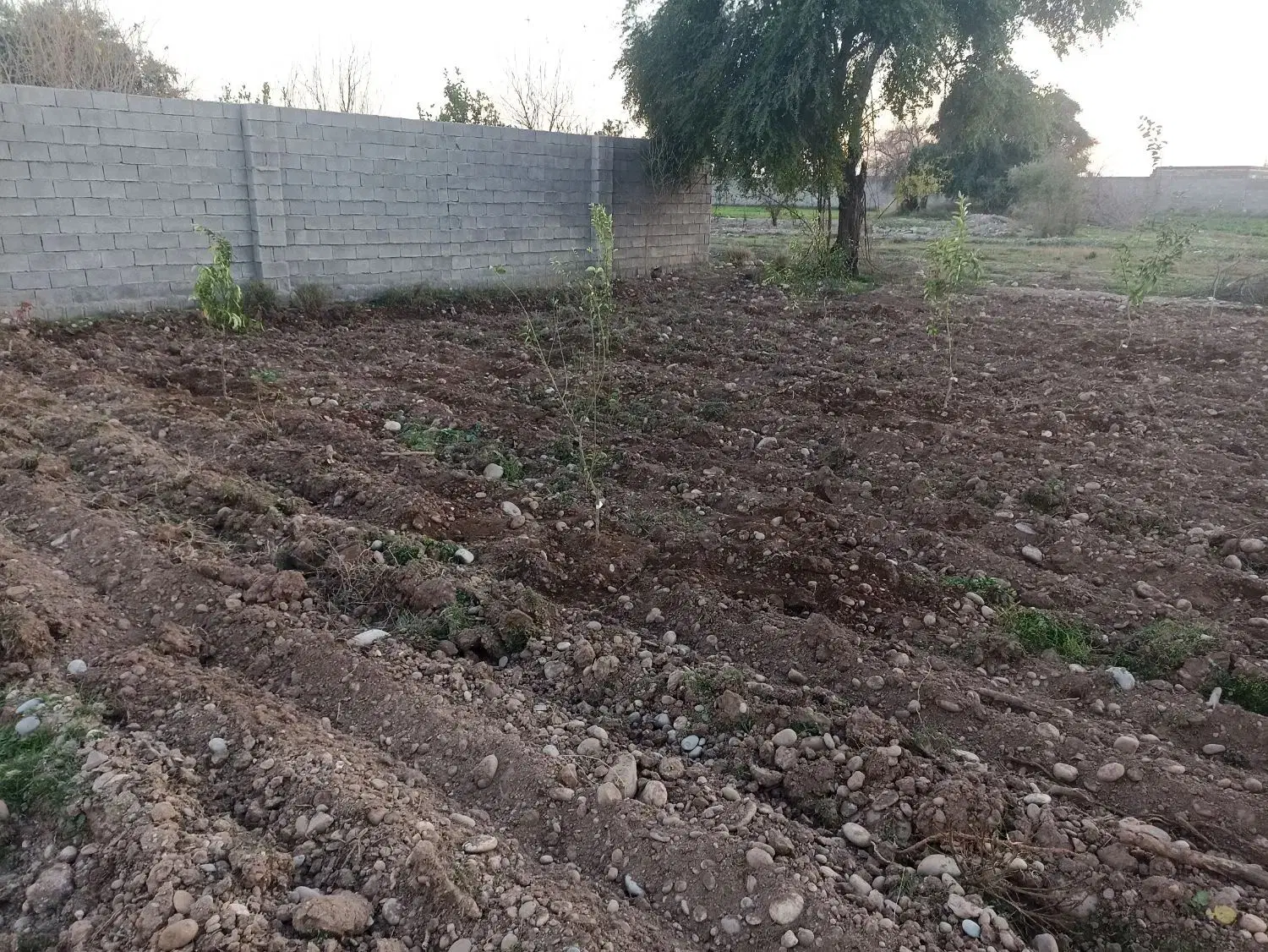 زمین باغچه 500متر بنوارحسین
