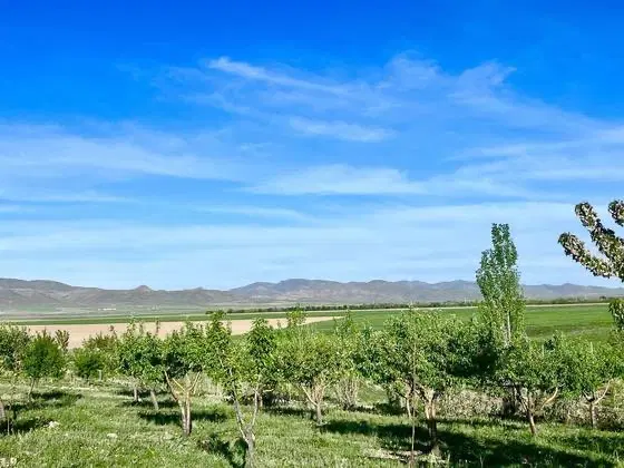 زمین و باغ
