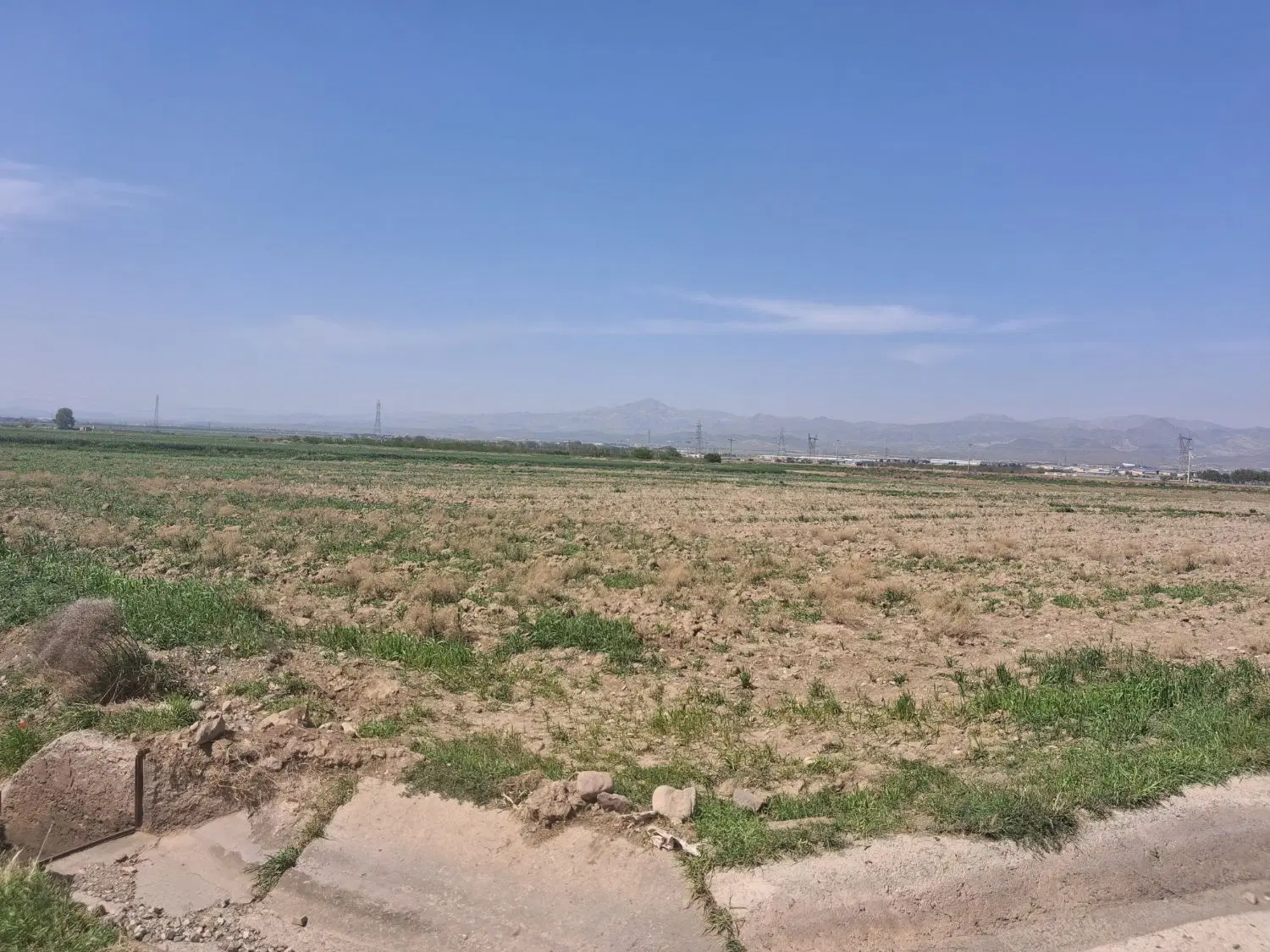 ۲ هکتاری صحرای شاهکندی زیاران