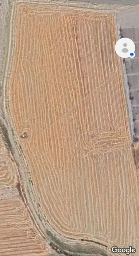 فروش زمین زراعی