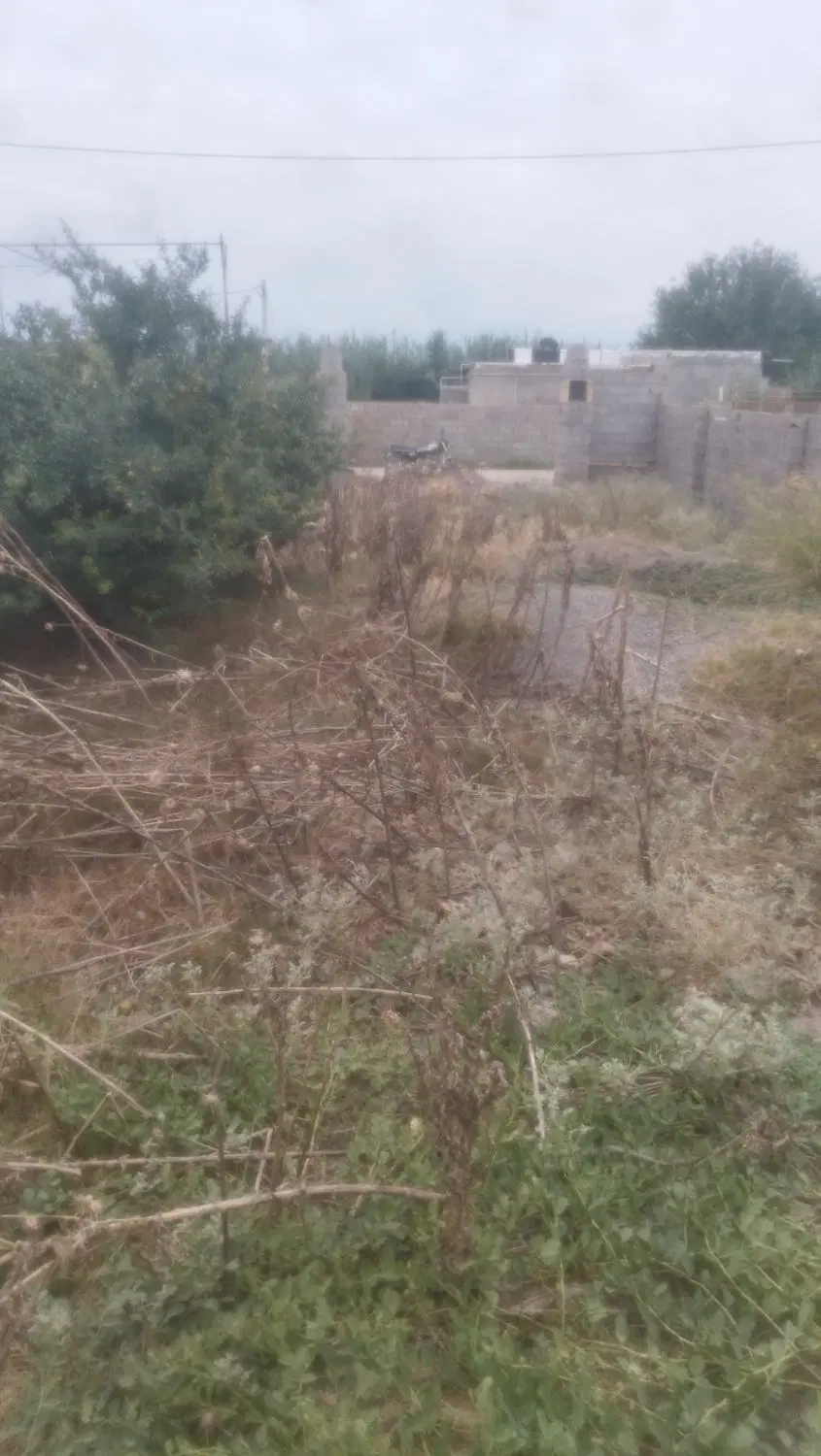 زمین خانه گوزن فارس