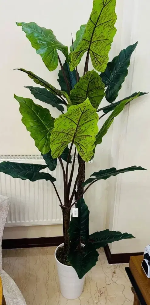 بالا خونه ۷۰متری مجزا