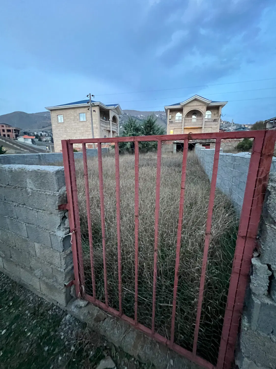 زمین سند تک برگ