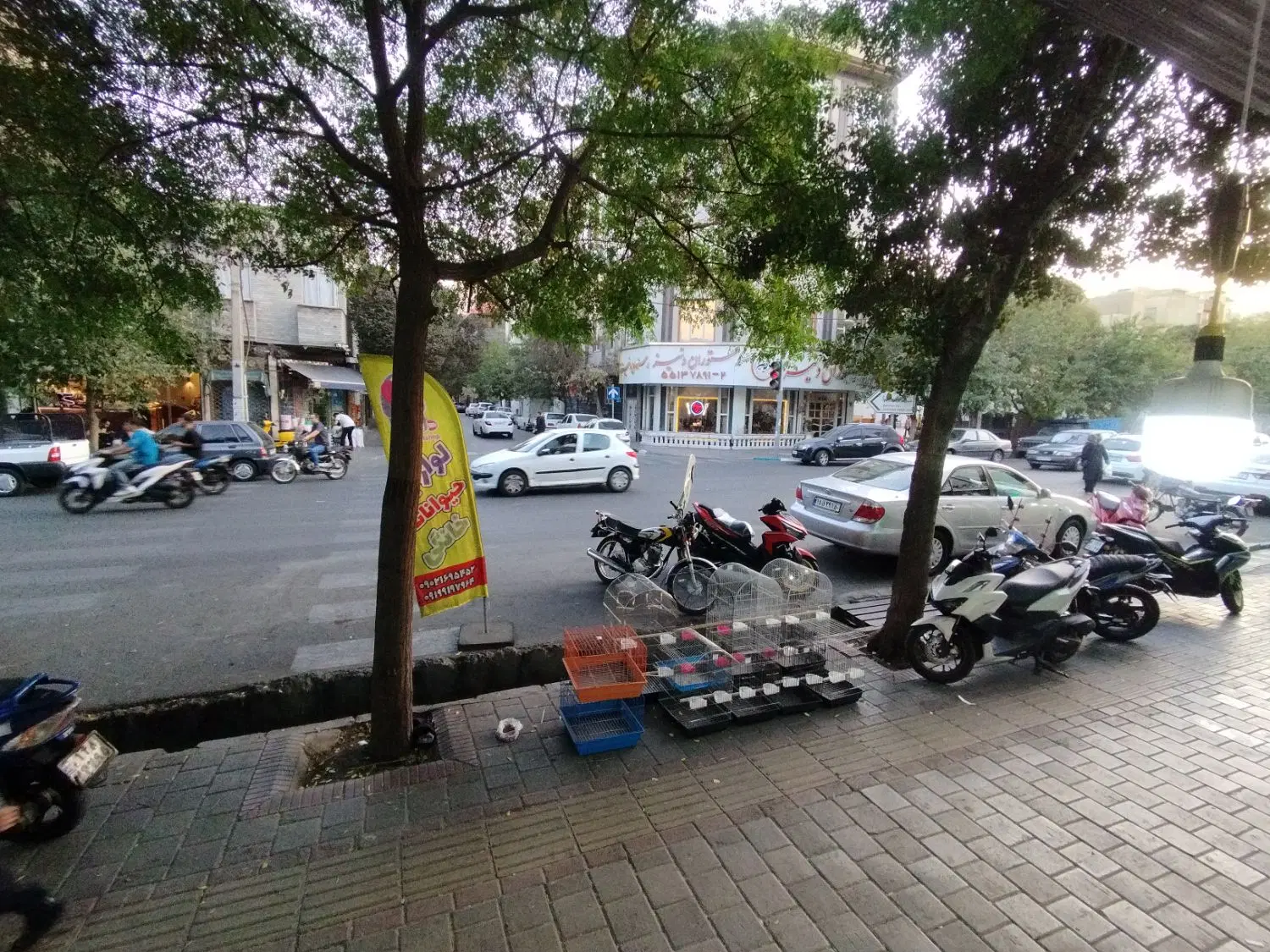 دو طبقه ۶۵ متری موقعیت اداری