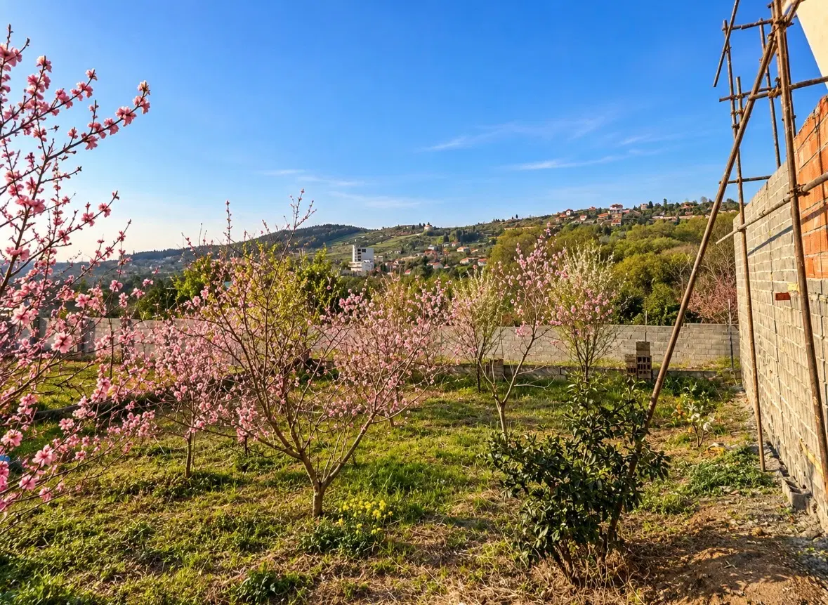 ۲۳۸ متر زمین سنددار مسکونی