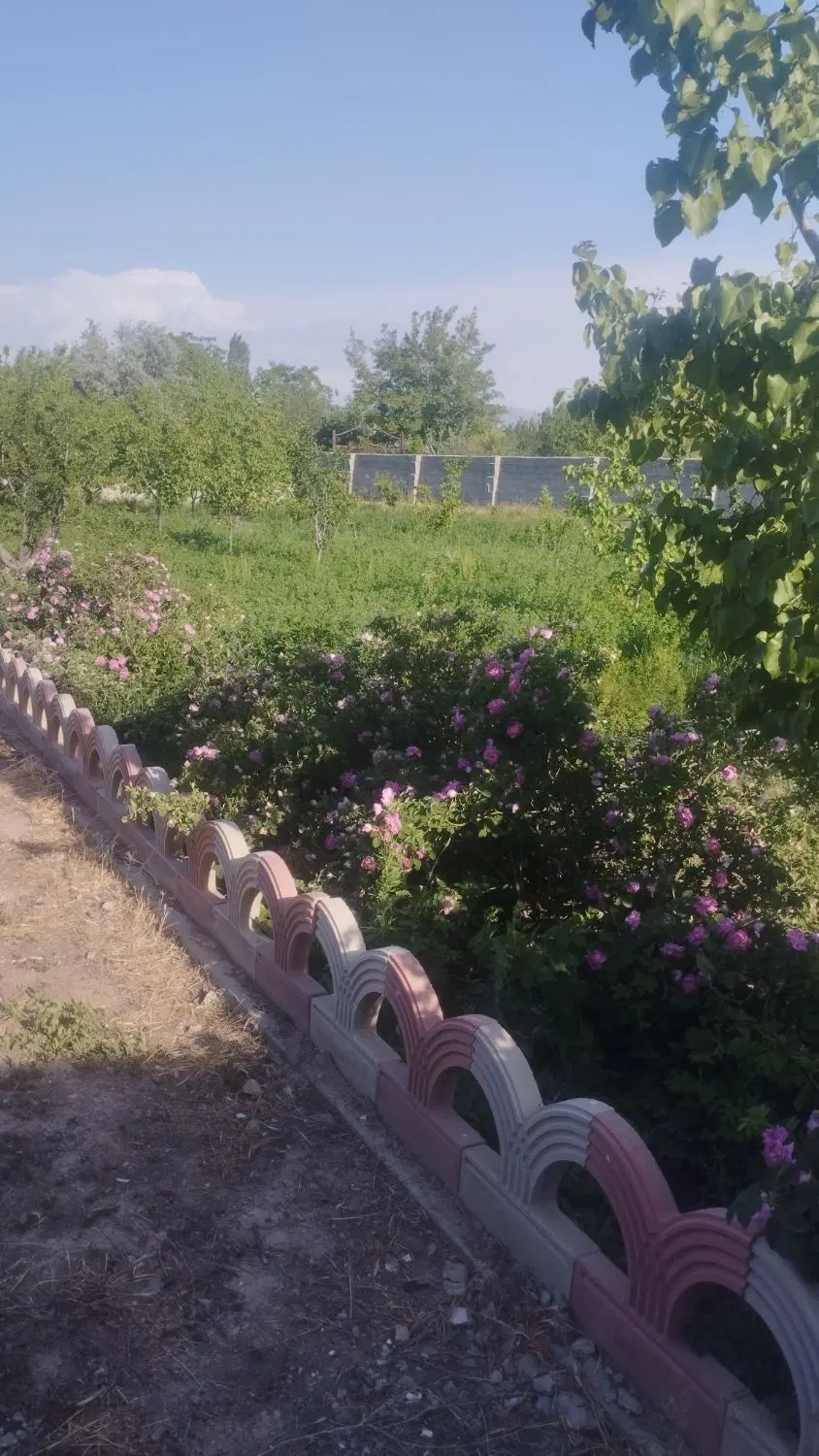 باغ ویلا