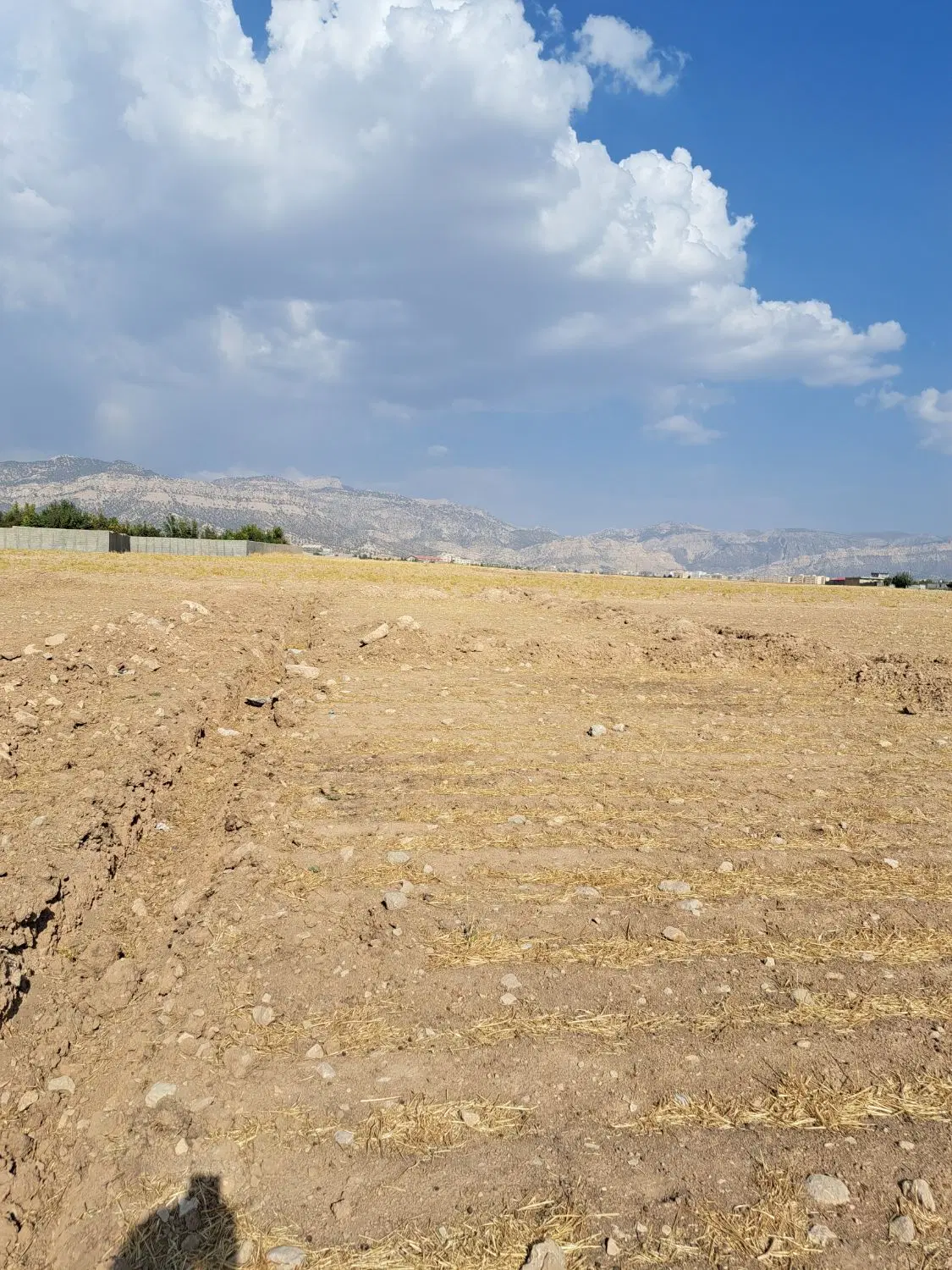 فروش یک قطعه زمین در هفت چشمه