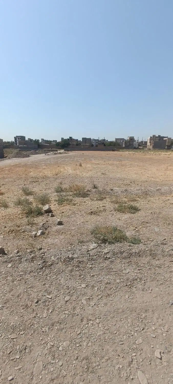 زمین باغی