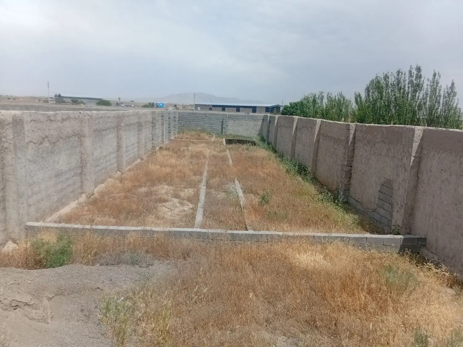 زمین باغی ۴۰۰ متر انتهای خلق اباد خرم اباد ۱۵