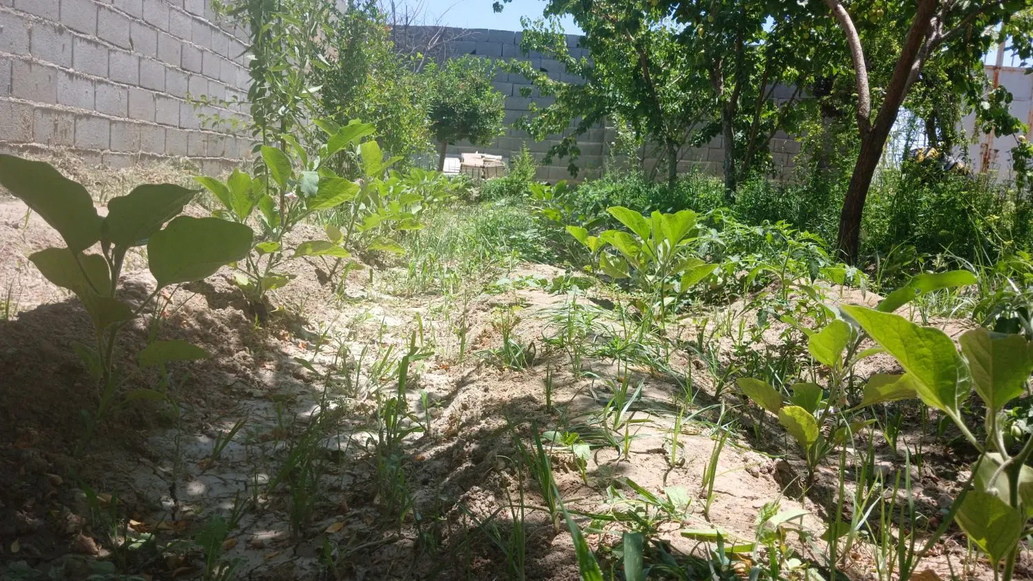 فروش ومعاوضه باغ، چهار دیواری،اسپارت با سواری