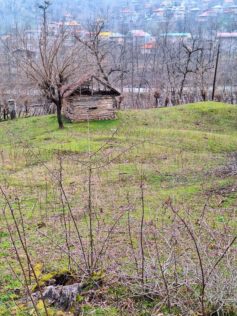 زمین مسکونی خوش اب و هوا