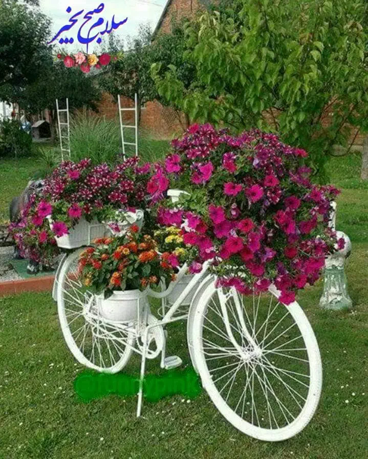 قطعه باغ 900متری کوی بهار