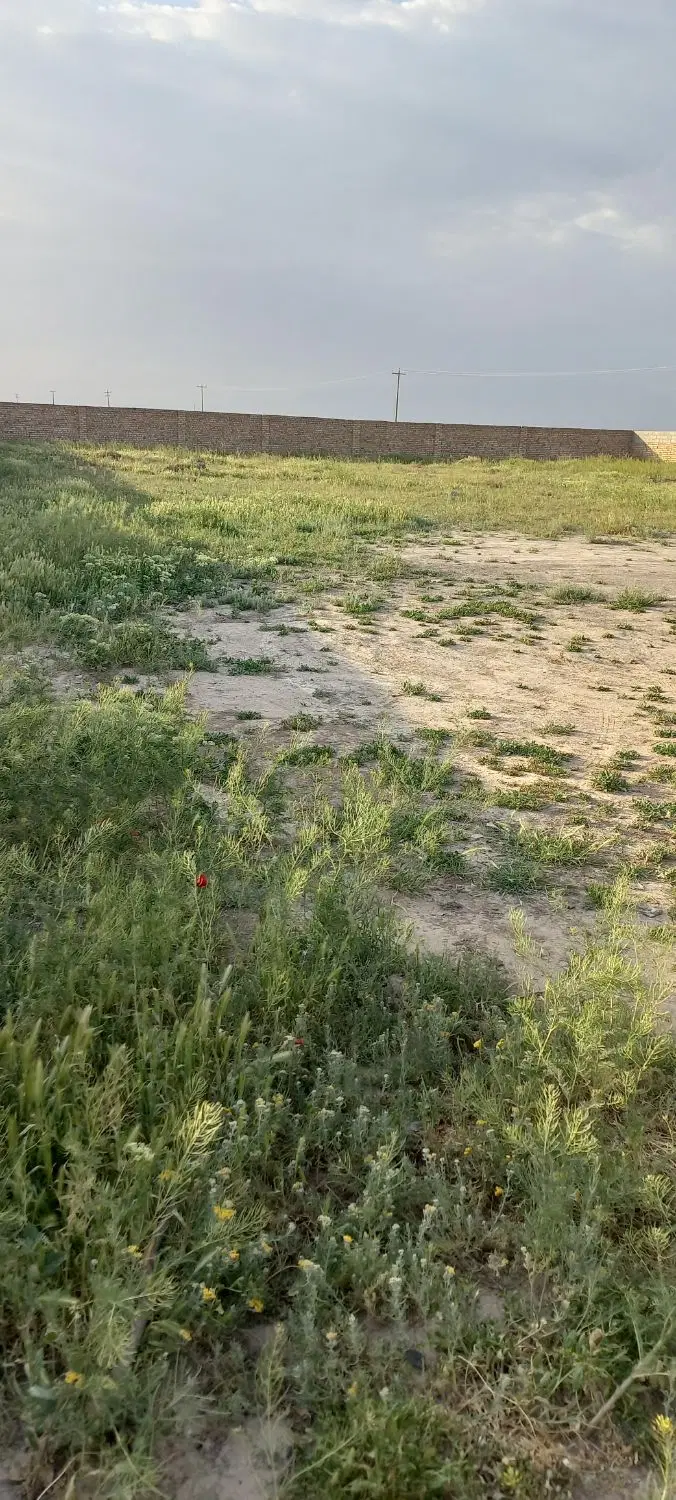 زمین فروشی فوری