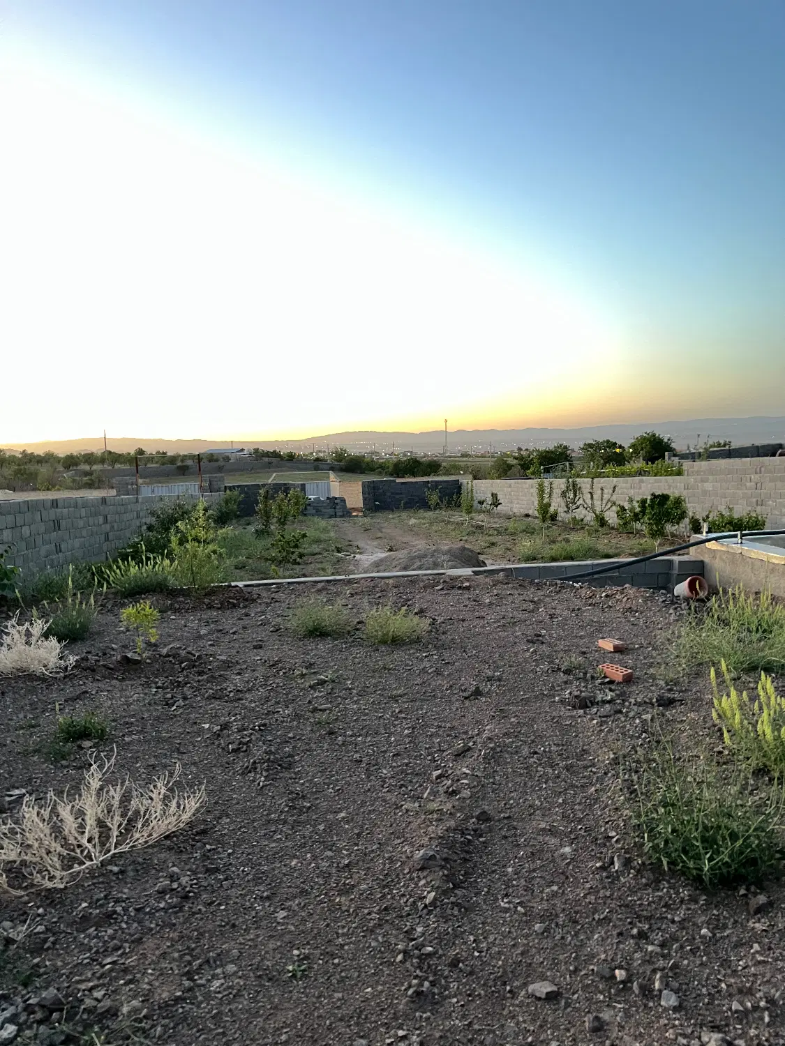 زمین باغی ورده